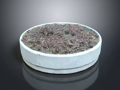 White Circular Decorative Planter Filled With Soil And Small Green Moss 3d model
