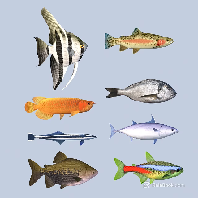 Colorful Aquatic Animals Featuring Various Fish Species And Different Color Patterns 3d model 