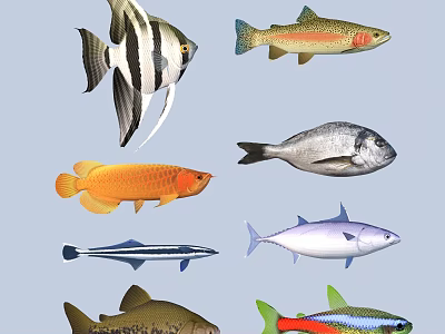 Colorful Aquatic Animals Featuring Various Fish Species And Different Color Patterns 3d model