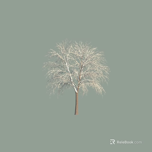 Tall Leafless Arbor With White Covered Branches Against Gray Background 3d model 