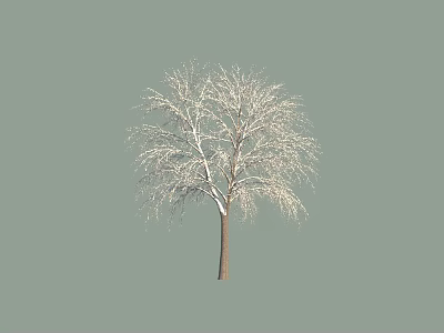 Tall Leafless Arbor With White Covered Branches Against Gray Background 3d model