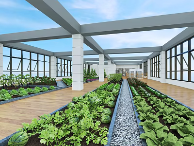 Modern vegetable garden 3d model