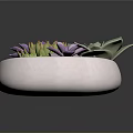 Succulent Plants in White Bowl with Purple Flowers Green Leaves and Lush Moss