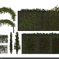 Vine Plants With Various Arches Wall Decor And Green Flowering Designs