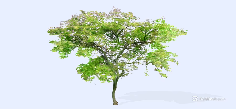 Lush Arbor With Vibrant Green Foliage And Branchy Structure Isolated On White Background 3d model 