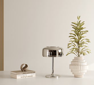 Modern Table Lamp Jewelry Ornaments Combination Jewelry Ornaments Books Vase Green Plant 3d model