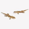 Reptile gecko 3d model
