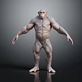 Muscular Ape 3D Model in Standing Posture with Detailed Muscle Structure and Reflective Surface