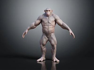 Muscular Ape 3D Model in Standing Posture with Detailed Muscle Structure and Reflective Surface 3d model