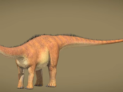 Realistic 3D Model of Sauropod Dinosaur With Spiked Back And Long Neck 3d model
