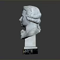 Gray Medical Anatomical Torso Model With Detailed Head And Marble Base