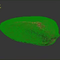 Red Cocoa Pod With Textured Surface And Dark Spots On Black Background