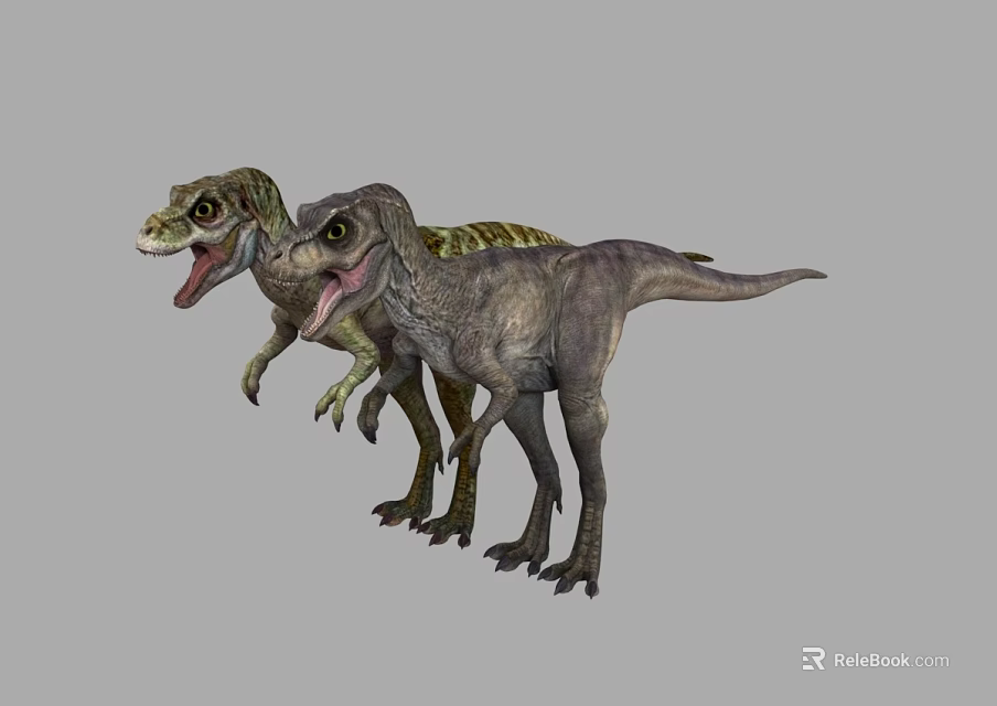 Realistic 3D Model of Two Dinosaurs with Open Mouths and Detailed Skin on Grey Background 3d model 
