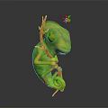 Green Chameleon Clinging To Branch As Small White Butterfly Flies Nearby