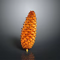 Detailed Natural Orange Pine Cone on Dark Background with Shiny Reflective Surface