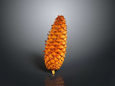 Detailed Natural Orange Pine Cone on Dark Background with Shiny Reflective Surface 3d model
