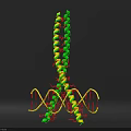 Biological Organization System With DNA Double Helix And Colored Molecular Structures