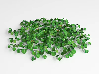 Lush Green Ground Cover Plants With Dense Foliage For Garden Landscaping 3d model