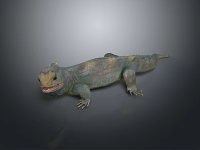 Gray Scaled Lizard Standing on Gray Background with Open Mouth 3d model