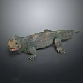 Gray Scaled Lizard Standing on Gray Background with Open Mouth 3d model