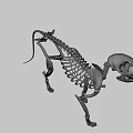 Cartoon Style 3D Skeleton Dog Game Movie Character With Black Eyes