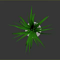 Vibrant Green Plant In White Ceramic Pot With Dark Background And Fresh Leaves