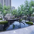 Modern Pergola in Urban Landscape with Water Pond and Green Plant Reflections
