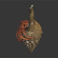 Modern Hermit Crab Conch Crab 3d model