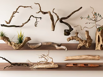 Modern Dead Wood Style Green Plant Potted Plant Ornaments Dead Tree Plant New Chinese Style Wood Old Wood Dead Branch Plant Ornaments 3d model