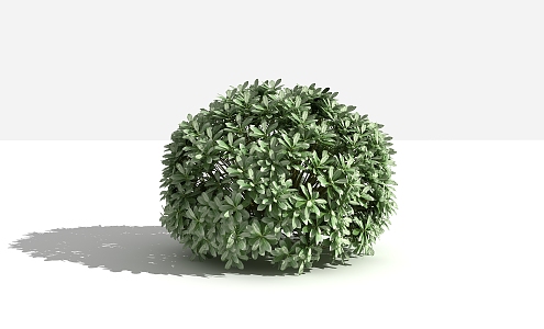 Modern Shrub Heptownia bulbosa 3d model