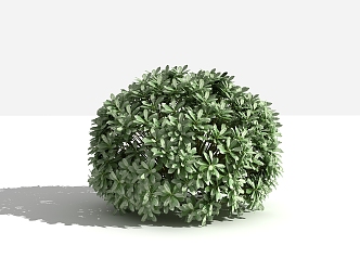 Modern Shrub Heptownia bulbosa 3d model