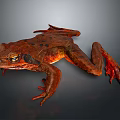 Brown Spotted Frog With Detailed Skin And Prominent Eyes On Dark Background