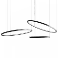 Modern Ring Shaped Circular Chandeliers With Metallic Frame And Hanging Design 3d model