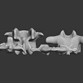 Anatomical White Human Vertebrae Organ Models For Medical Educational Study And