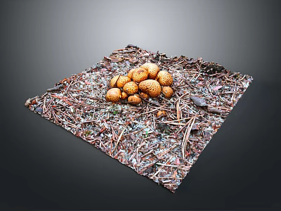 Arrangement of Fresh Brown Mushrooms on Natural Wood Chips with Small Twigs 3d model
