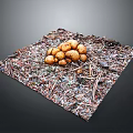 Arrangement of Fresh Brown Mushrooms on Natural Wood Chips with Small Twigs
