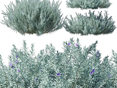 Ornamental Plant Arrangement Set With Silver Green Foliage And Purple Flowers For Home Decor 3d model