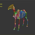 Camel Skeleton Model Medical Device for Anatomical Education and Study 3d model