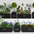 Diverse Plant Combinations in Black Rectangular Planters with Trees Shrubs and Colorful Flowers 3d model