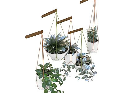 Hanging Plant Combination With Various Green Leaves In White Pots 3d model