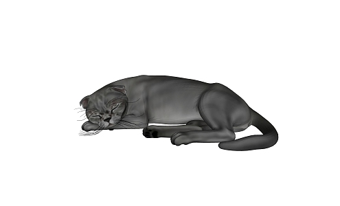 modern cat american short-haired cat animal kitten gray cat 3d model