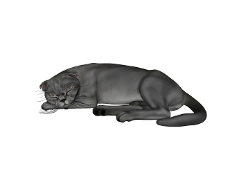 modern cat american short-haired cat animal kitten gray cat 3d model