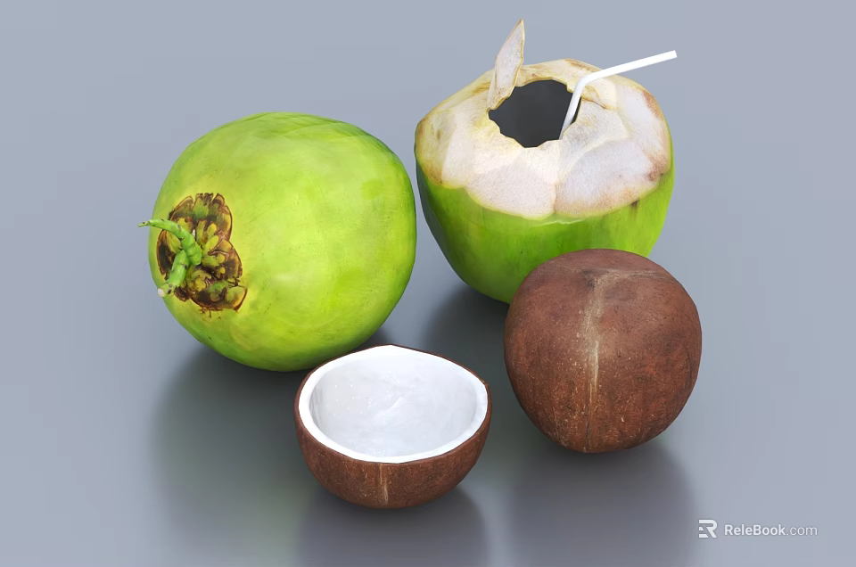Fresh Green Coconut Opened with Straw Split Shell and Brown Coconut with White Flesh 3d model 