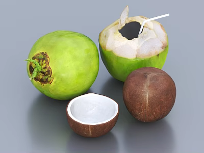 Fresh Green Coconut Opened with Straw Split Shell and Brown Coconut with White Flesh 3d model