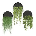 Black Hanging Planters With Lush Trailing Green Plants And Various Foliage Types