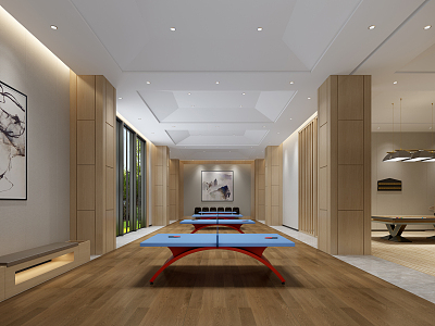 Modern Table Tennis Room Activity Room Billiards Room model