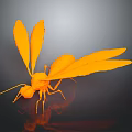 Orange Insect With Large Wings On Dark Reflective Background Surface