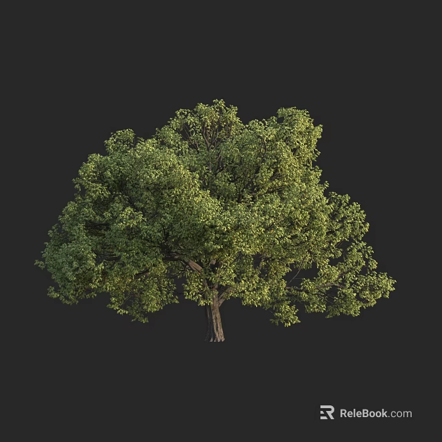 Lush Green Tree With Dense Canopy And Strong Trunk In Natural Scene 3d model 