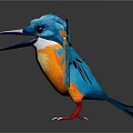 Flying Animal Kingfisher With Blue Head Orange Spread Wings Standing On Black Surface And Reflection