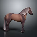 Brown And White Horse 3D Model Specialty Store Featuring Detailed Lifelike Design
